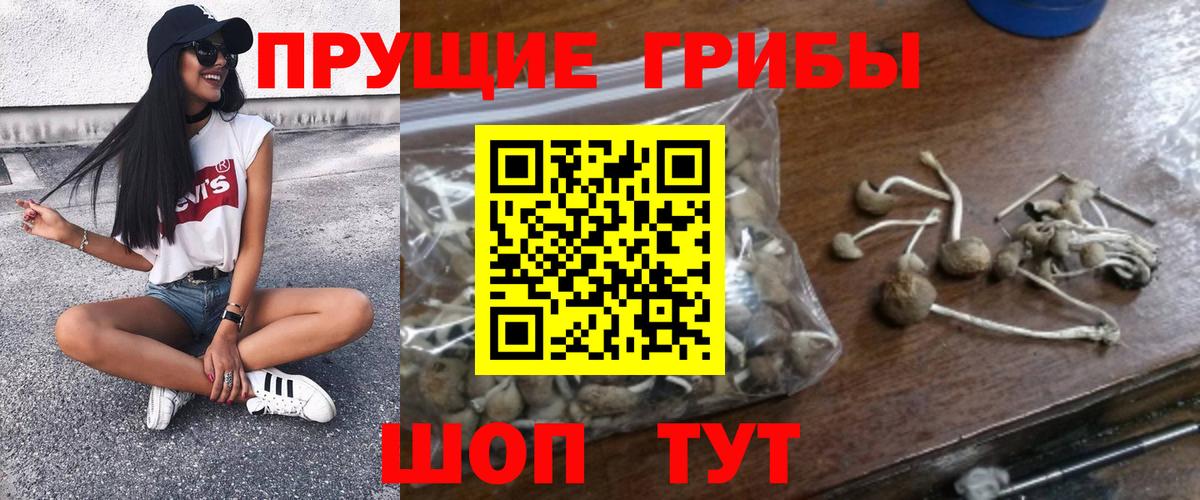 Трёхгорный  Галлюциногенные грибы мухоморы  Вход с VPN 